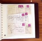 1903-1906, Collection spécialisée sur la Semeuse en