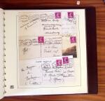 1903-1906, Collection spécialisée sur la Semeuse en