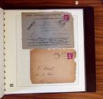 1903-1906, Collection spécialisée sur la Semeuse en