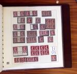 1903-1906, Collection spécialisée sur la Semeuse en