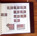 1903-1906, Collection spécialisée sur la Semeuse en
