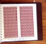 1903-1906, Collection spécialisée sur la Semeuse en