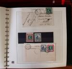 1903-1906, Collection spécialisée sur la Semeuse en
