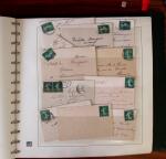 1903-1906, Collection spécialisée sur la Semeuse en