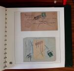 1903-1906, Collection spécialisée sur la Semeuse en