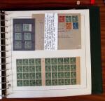 1903-1906, Collection spécialisée sur la Semeuse en