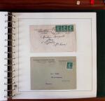 1903-1906, Collection spécialisée sur la Semeuse en