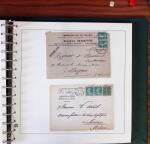 1903-1906, Collection spécialisée sur la Semeuse en