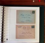 1903-1906, Collection spécialisée sur la Semeuse en