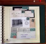 1903-1906, Collection spécialisée sur la Semeuse en