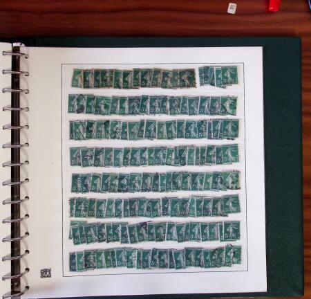 1903-1906, Collection spécialisée sur la Semeuse en