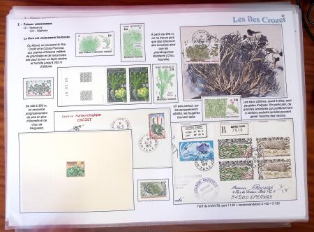 LES ILES CROZET, Exceptionnelle collection d'exposition