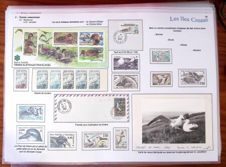 LES ILES CROZET, Exceptionnelle collection d'exposition