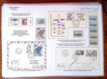 LES ILES CROZET, Exceptionnelle collection d'exposition