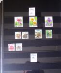 1960-2016, Mint nh collection of Taiwan in 5 stockbooks,