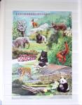 1960-2016, Mint nh collection of Taiwan in 5 stockbooks,
