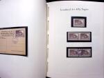 1914-18 Gut ausgebaute und reichhaltige Sammlung in