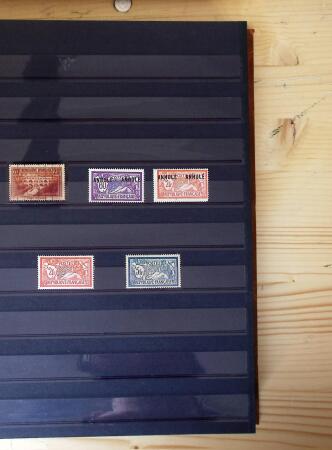 1849-1975, Collection en 9 classeurs, neufs et oblitérés,