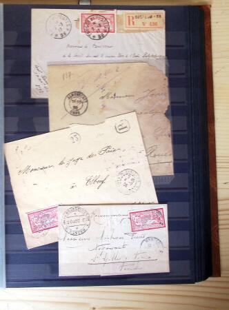 1849-1975, Collection en 9 classeurs, neufs et oblitérés,