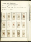 FISCAUX 1860-1918, Exceptionnelle collection de timbres