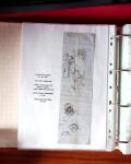 NANCY 1717-1989, Collection en 5 classeurs joliment