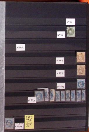 1900-80, Petit stock de France et Monaco en 19 classeurs