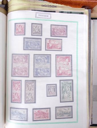 1900-50env. Très belle collection de vignettes des colonies avec surtout vignettes de propagande de différentes colonies, à noter Somalie, épreuves du Congo, Centenaire du Gabon, Maroc, etc., remarquable