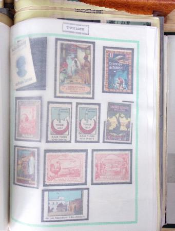 1900-50env. Très belle collection de vignettes des colonies avec surtout vignettes de propagande de différentes colonies, à noter Somalie, épreuves du Congo, Centenaire du Gabon, Maroc, etc., remarquable