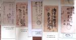 Deux albums Leuchturm contenant une collection ayant obtenu une médaille d'or au Championnat de France de Philatélie Planète Timbres 2012 à Paris et une médaille de grand vermeil à Europhilex London 2015 : Les correspond