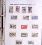 1913-1986, Un classeur d'exposition sur "Les vignettes
