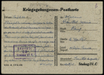Entier carte postale illustrée "Caisse de secours mutuels du stalag IVC - Pour qu'ils vivent" (GUE K 4) OBL (1944). TB