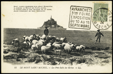 N°130 OBL Avranches Manche (11.9.24) + Daguin à gauche "Avranches 3ème foire exposition du 10 au 15 septembre" sur carte postale. TB