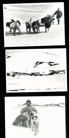 Lot de 30 photos de l'expédition en Terre Adélie (