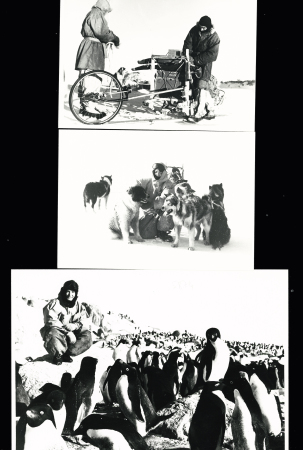 Lot de 30 photos de l'expédition en Terre Adélie (