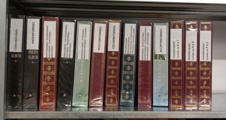 OISEAUX, 1960-2015, Collection en 13 classeurs comprenant
