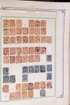 1876-1931, Un album fait maison avec différents types