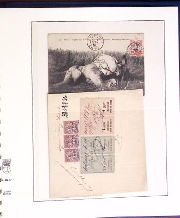 1859-1918, Solide collection en un album Lindner de