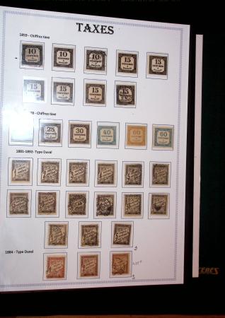 1849-1975, Collection commençant par une série d'essais
