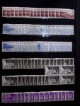 1885-1992, Deux collections de timbres neufs de Monaco,