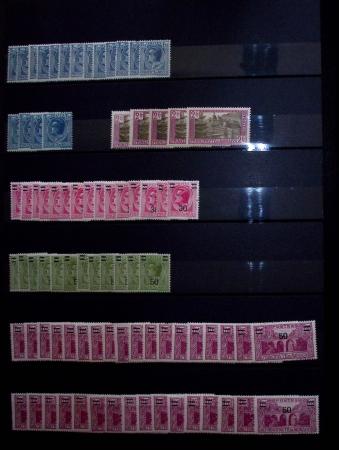 1885-1992, Deux collections de timbres neufs de Monaco,