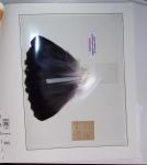 3 pigeongrammes : souvenir contenant un pigeongramme sur collodion - dépêches privées 3 bis à 6 bis sur papier - dépêche officielle sur papier avec plumes de pigeon