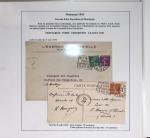 Collection de 24 Daguins temporaires du Loiret (Bellegarde - Montargis - Orléans - Pithiviers). Ensemble rare et TB