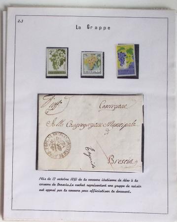 1820-1980 WINE & VINEYARDS: Thematic exhibition collection