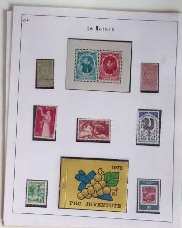 1820-1980 WINE & VINEYARDS: Thematic exhibition collection