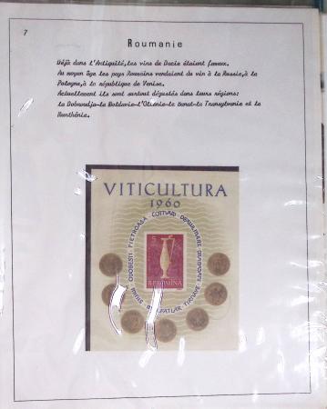 1820-1980 WINE & VINEYARDS: Thematic exhibition collection