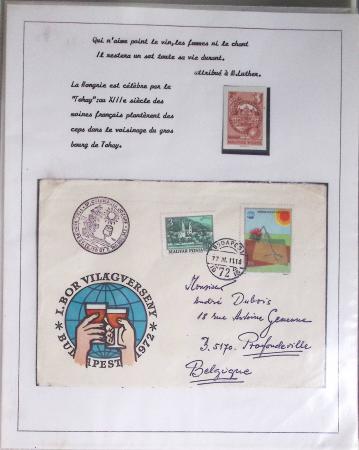 1820-1980 WINE & VINEYARDS: Thematic exhibition collection