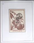 1820-1980 WINE & VINEYARDS: Thematic exhibition collection