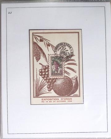 1820-1980 WINE & VINEYARDS: Thematic exhibition collection