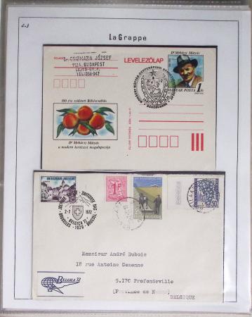 1820-1980 WINE & VINEYARDS: Thematic exhibition collection