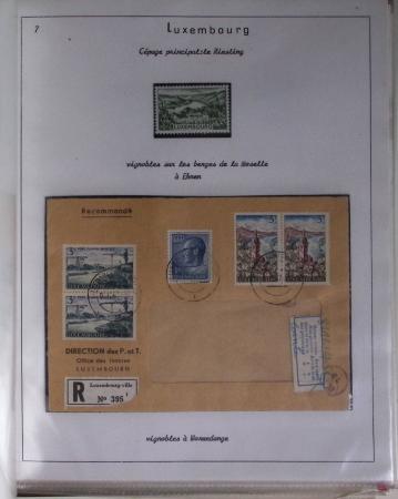 1820-1980 WINE & VINEYARDS: Thematic exhibition collection